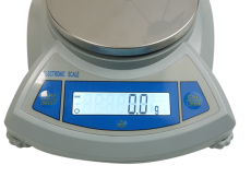 Economy Portable Balance - 500g x 0.1g