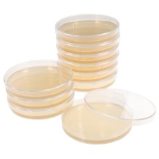 Agar plates prepared nutrient (Pack of 10) (ROI only)