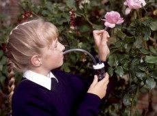 Pooter (Bug Catcher), Pack of 2