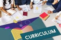 Curriculum