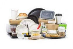 Disposable Tableware