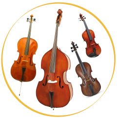 String Instrument and Accessories