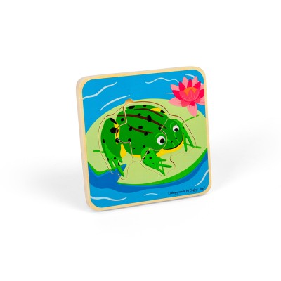 Lifecycle Layer Puzzle - Frog