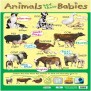Poster: Baby Animals (Each)