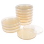 Agar plates prepared nutrient (Pack of 10) (ROI only)