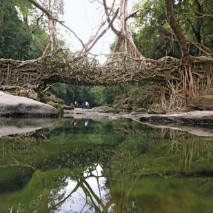 All Of Meghalaya