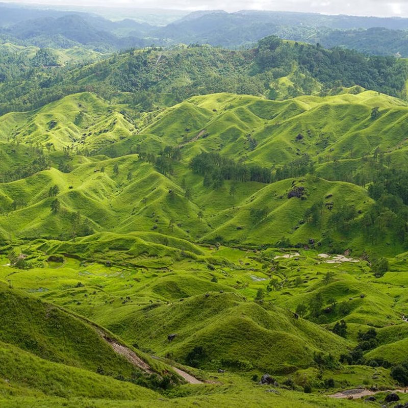 All Of Meghalaya