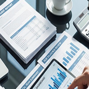 Due Diligence Report